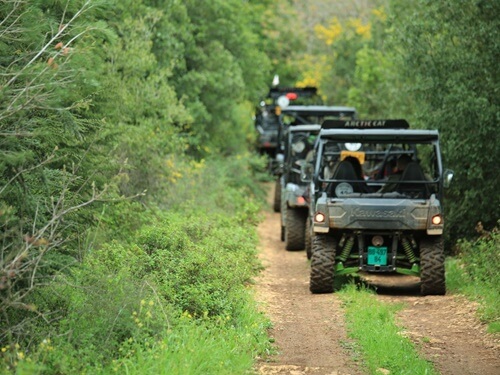 טרקטורוני נוף הורדים